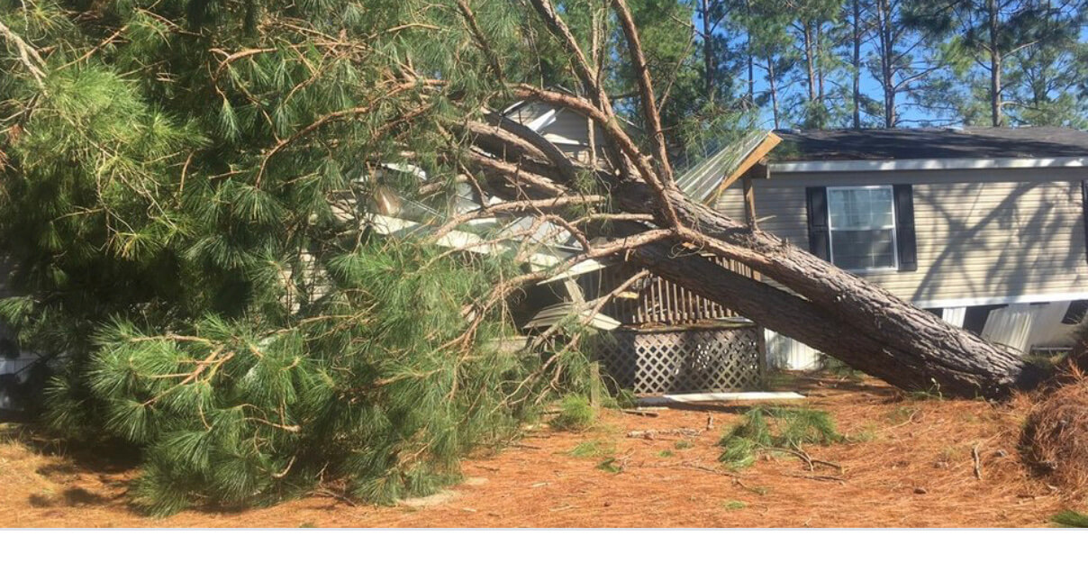 Power outages and storm damage reported in Prentiss county