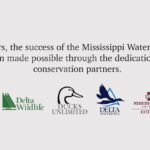 Mississippi marks 50 years of State Waterfowl Stamp conservation MDWFP is celebrating 50 years of the Mississippi State Waterfowl Stamp