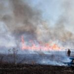 Mississippi wildlife officials highlight safety steps for prescribed burns Photos from Mississippi Department of Wildlife, Fisheries, and Parks's post