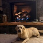 K9 Ranger Reminds Public to Stay Safe During Cold Weather We hope everyone is staying warm and safe in this weather!