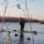 Mississippi duck season ends; MDWFP urges safe hunting and wetland conservation As regular duck season comes to an end today, MDWFP hopes that everyone has had a safe hunting seaso