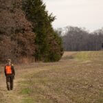 Mississippi deer hunting season ends Saturday for most areas Deer season ends tomorrow, Saturday, January 31, for most of Mississippi