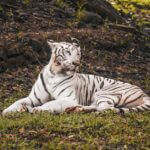 NEMCC Alumni Excelling at Four-Year Schools as 2025 Ends Photo by Tanmoy Pal on Pexels