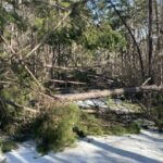Mississippi Wildlife Department Warns of Hazards After Ice Storm Photos from Mississippi Department of Wildlife, Fisheries, and Parks's post