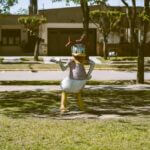 Erika Donalds Defends Conservative Education Reform on X Photo by Tomás Asurmendi on Pexels