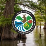 Turkey hunting season set for 2026: What hunters need to know Turkey Season Q&A