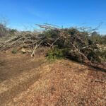 Booneville urges residents to properly dispose of storm debris 🚧 Debris Removal Reminder – City of Booneville