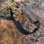 Mississippi youth hunter bags first turkey in Quitman County There’s nothing quite like watching a young hunter experience their first turkey hunt