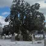 Booneville City Cemetery cleanup underway after ice storm damage Photos from City of Booneville's post