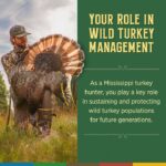 Mississippi turkey hunters play key role in conservation efforts This #TurkeyTuesday, we’re talking about the vital role Mississippi turkey hunters play in sustainin