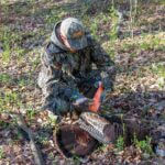 Arkansas Turkey Hunting Season Underway Turkey Season is in full swing!