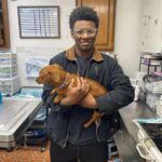 Baldwyn student shadows veterinarian at local clinic Photos from Baldwyn School District's post