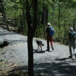 Mississippi encourages outdoor walks for National Take a Walk in a Park Day Photos from Mississippi Department of Wildlife, Fisheries, and Parks's post