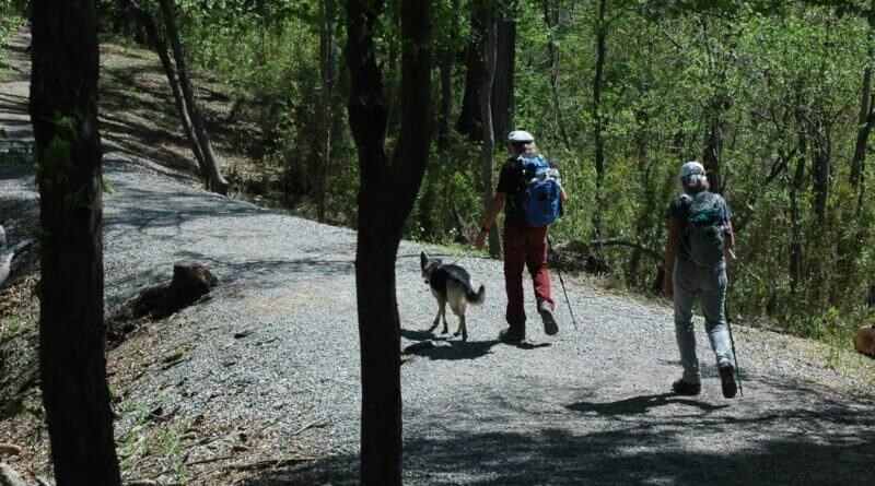 Mississippi encourages outdoor walks for National Take a Walk in a Park Day Photos from Mississippi Department of Wildlife, Fisheries, and Parks's post