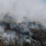 Mississippi responds to wildfire in Carroll County Photo by Kelly on Pexels