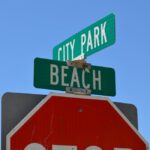 Mississippi's Bond Credit Rating Improves, Signaling Economic Progress Photo by Victor Rivera on Pexels