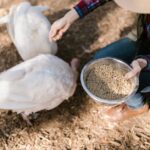 BHS Hosts Division Tennis Tournament and Inaugural Track Meet Photo by RDNE Stock project on Pexels