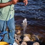 Mississippi Fish Identification Guide Assists Anglers Need help identifying your catch?