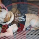 Mississippi Public Safety Summit Set for May 19-22 Mark your calendars!