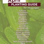 April is prime time for planting vegetables, experts say Here's your veggie planting guide for April!