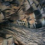 Mississippi Department of Wildlife Encourages Spring Hunting Traditions Photos from Mississippi Department of Wildlife, Fisheries, and Parks's post