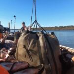 Invasive Carp Have Spent Over 50 Years in Mississippi Waters Invasive carp have been in Mississippi waters for over 50 years