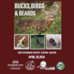 Mississippi hosts wildlife management event with experts from MSU Join us for Bucks, Birds, & Beards!