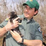 Mississippi’s Black Bears Make Comeback After Near Extinction Photos from Mississippi Department of Wildlife, Fisheries, and Parks's post
