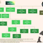 Mississippi MDWFP's Black Bear Program Marks Over 20 Years of Data Collection Did you know MDWFP's Black Bear Program has been collecting data on bears for over 20 years?