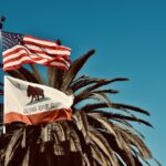 Mississippi enacts law to verify voter citizenship, contrasting states with lax policies Photo by Lesli Whitecotton on Pexels