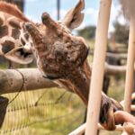 Northeast releases latest student newspaper highlighting campus events and achievements Photo by Willians Huerta on Pexels