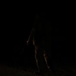 NEMCC’s Kirksey Named WBCA All-American, First from Mississippi Photo by Rachel Claire on Pexels