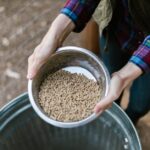 Mississippi launches Rural Health Transformation Office and website Photo by RDNE Stock project on Pexels