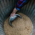 Mississippi, Louisiana Lead Efforts Amid Dobbs Ruling Photo by RDNE Stock project on Pexels