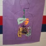 Baldwyn High School Students Create Diagrams of the Digestive System Photos from Baldwyn School District's post
