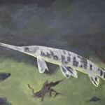 Mississippi Winners Named in Art of Conservation Fish Art and Essay Contest Photos from Mississippi Department of Wildlife, Fisheries, and Parks's post
