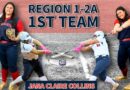 Baldwyn Lady Bearcat Softball Players Named to Regional Teams Photos from Baldwyn School District's post