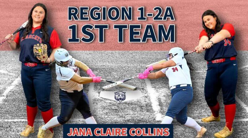 Baldwyn Lady Bearcat Softball Players Named to Regional Teams Photos from Baldwyn School District's post