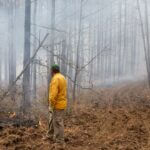Mississippi opens applications for Fire on the Forty program for 2026 Photos from Mississippi Department of Wildlife, Fisheries, and Parks's post