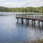 Fishing at Lake Jeff Davis in Mississippi Offers Peaceful Day on the Water Photos from Mississippi Department of Wildlife, Fisheries, and Parks's post
