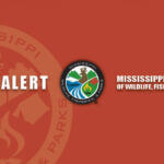Boat Access Temporarily Limited at Mississippi State Parks During Holiday Events Heads up, boaters and anglers!