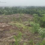 Mississippi Continues Response to May Tornadoes The latest update on the tornadoes that impacted Mississippi: