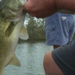Lake Monroe Reopens for Bass Fishing After Tornado Damage Let's take a look at Lake Monroe's Comeback!