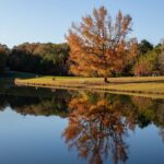 Mississippi Celebrates Great Outdoors Month with Outdoor Activities Photos from Mississippi Department of Wildlife, Fisheries, and Parks's post