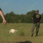 Mississippi MDWFP K-9 Unit Supports Wildlife Law Enforcement Did you know that MDWFP has a K9 Unit Team?