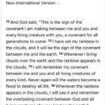 MLB Criticized for Controversial Stance on Biblical Text and Celebrating Personal Lives Photos from Tate Reeves's post