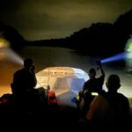 Mississippi biologists conduct alligator surveys along public waters Throughout this time of year, MDWFP biologists are busy running alligator survey routes along public