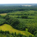 Habitat Diversity Essential for Healthy Wildlife Populations Photos from Mississippi Department of Wildlife, Fisheries, and Parks's post
