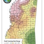 Mississippi's peak fawning season varies by region, starting as early as mid-June Peak fawning for most of Mississippi is in July, but for other parts of the state it can start as ea
