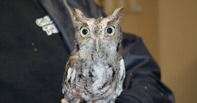 Mississippi Department of Wildlife to host fall education programs Photos from Mississippi Department of Wildlife, Fisheries, and Parks's post